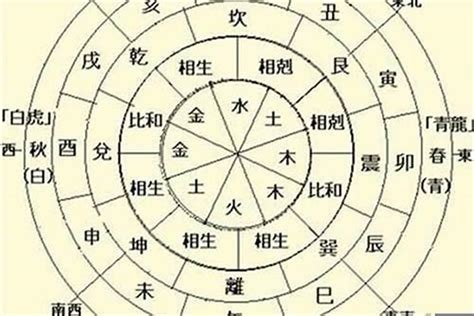 五行木太多|八字木多代表什么 八字木多的人命好不好